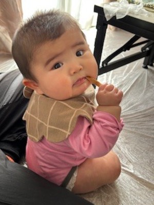 2/24　基礎BLW講座