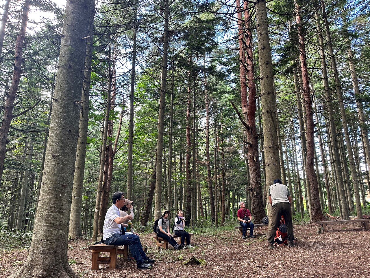 五感を解放する森林浴 【大人】