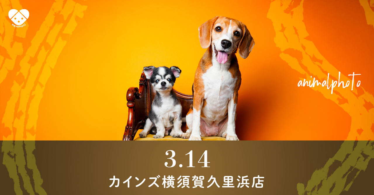 神奈川県【カインズ横須賀久里浜店】2026年3月14日（土） 