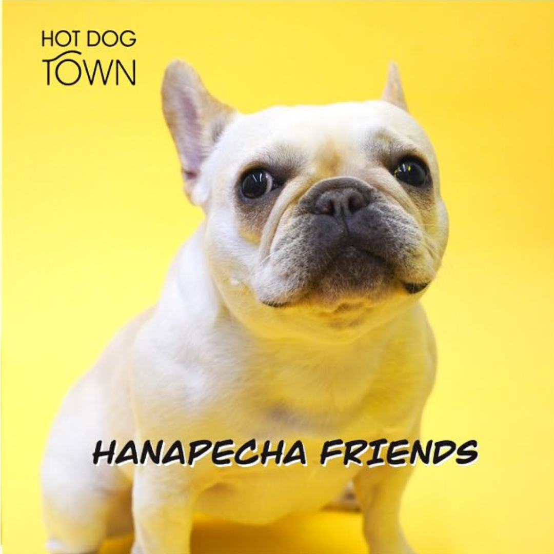 HANAPECHA FRIENDS撮影会