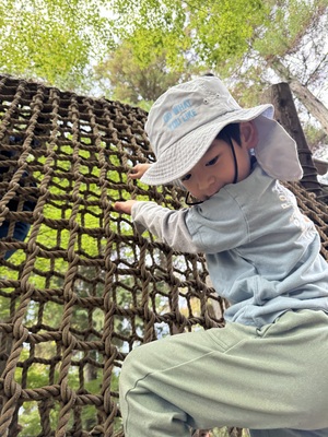 2025年11月16日(日)コーディアース🌍 「ありのみコース 秋の自然アドベンチャー」開催！