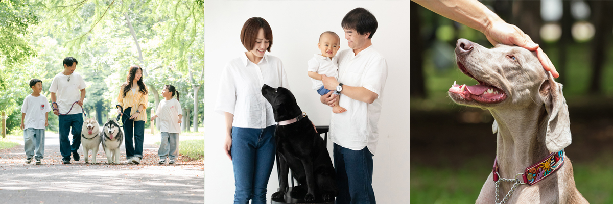 ペットと家族