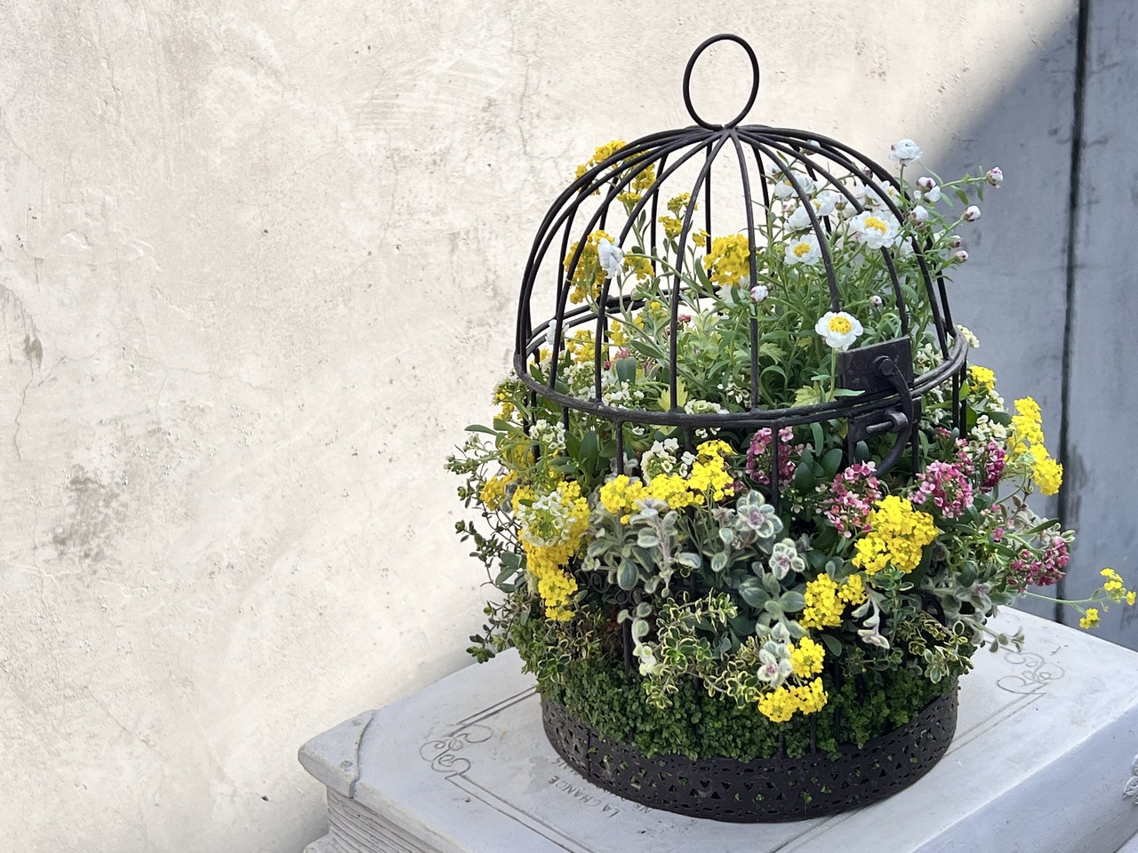 鳥かごのベビーティアーズアレンジメント