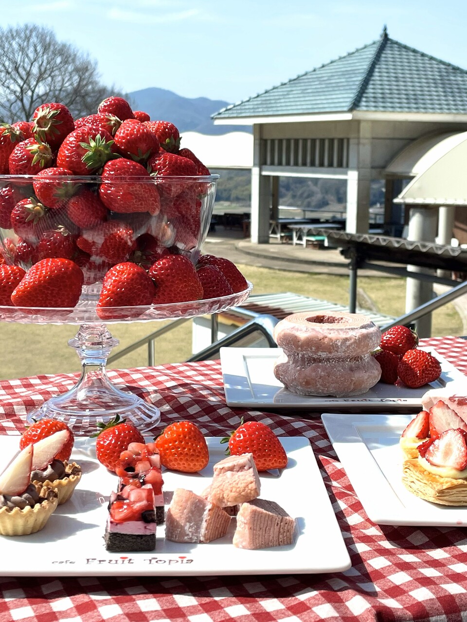 【4月5日（日）限定】いちご&苺スイーツビュッフェ