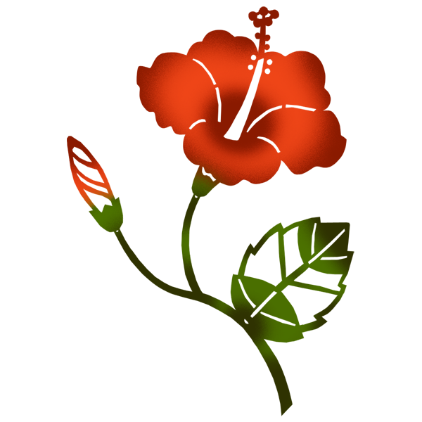 10/17 Hello, in キジョウカク 手相すいかじ