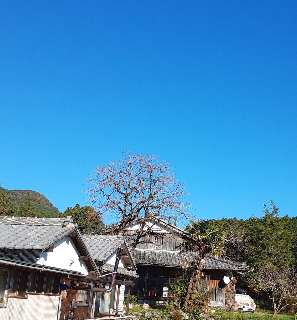 スペース まんなか　施術予約ページ