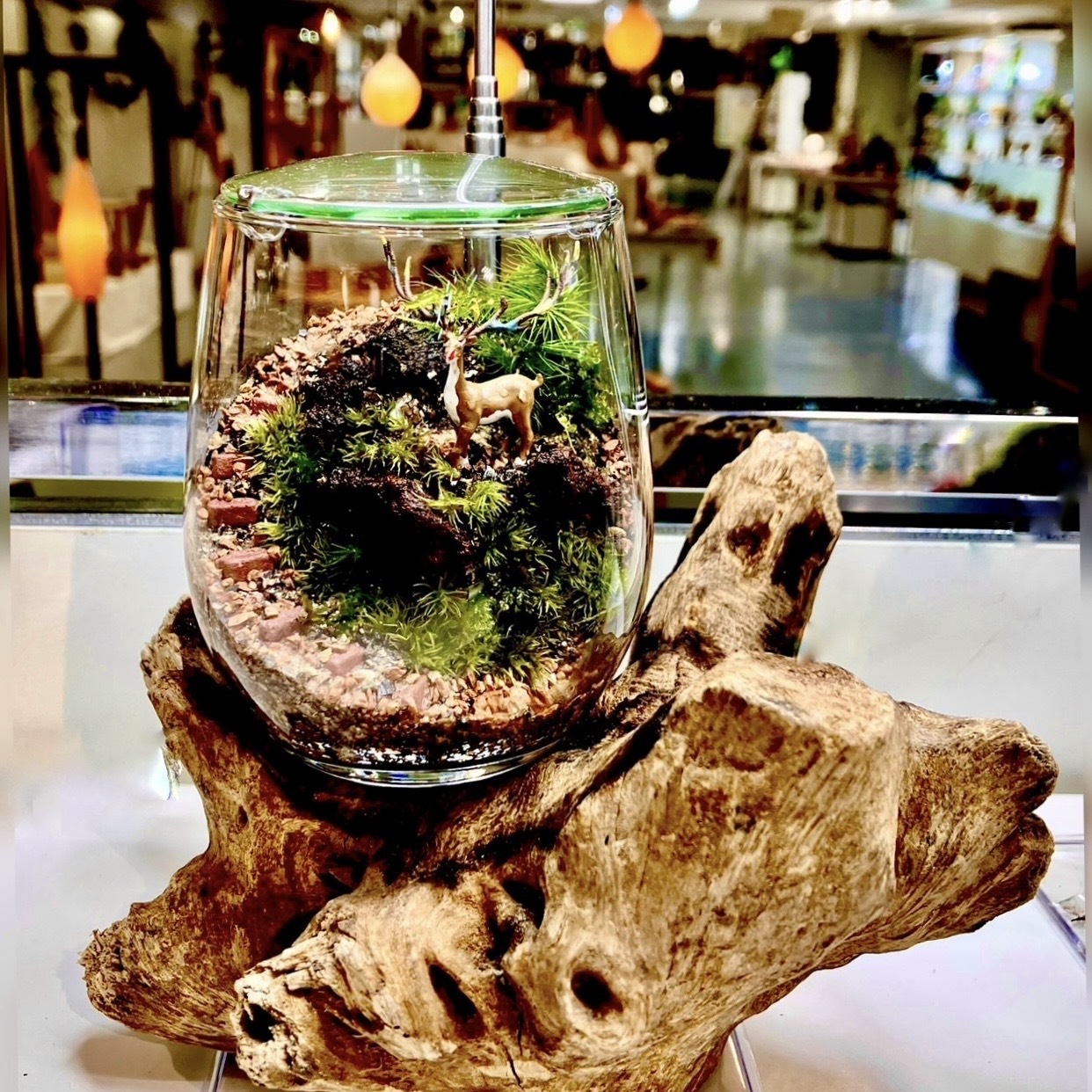 【予約制】階段の苔テラリウムの作成ワークショップ「TheOnlyOne_bottleterrarium」