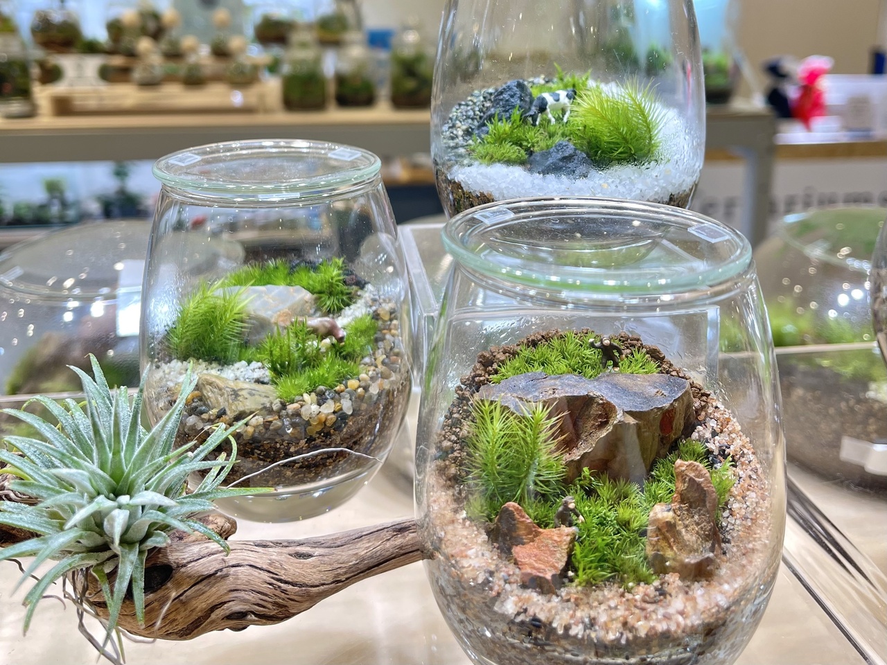 Terrariums仙台AER店の予約サービス