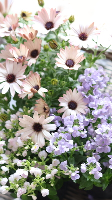 季節の花ギャザリング 体験レッスン