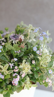 季節の花ギャザリング 体験レッスン