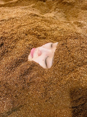 おがくず酵素温浴処　萌木　ご予約ページ