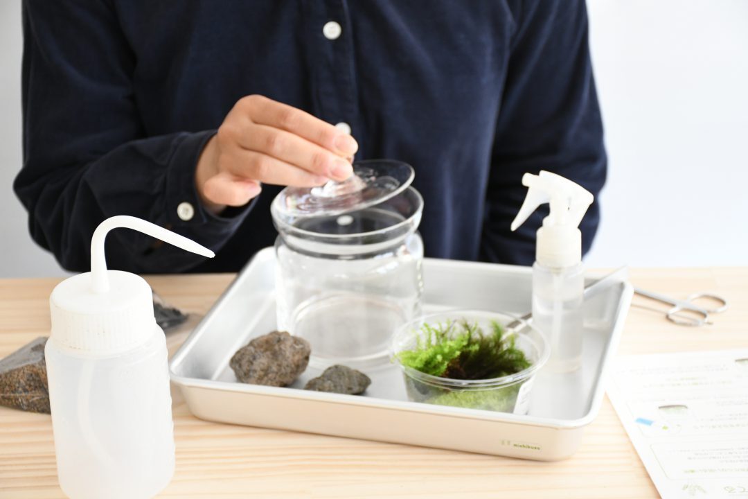 【初めての方向け】苔テラリウム体験会（ワークショップ）