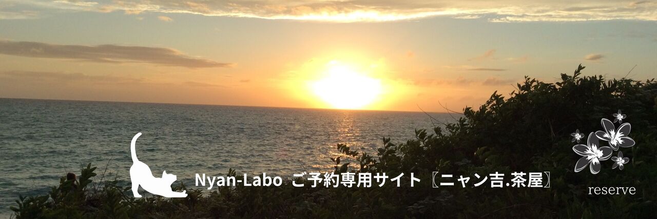 トリートメントメニューの予約はこちら