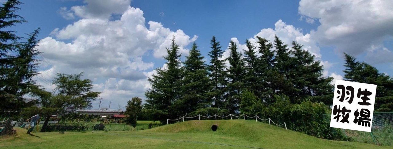 2025夏　予約制早朝ランラン♪