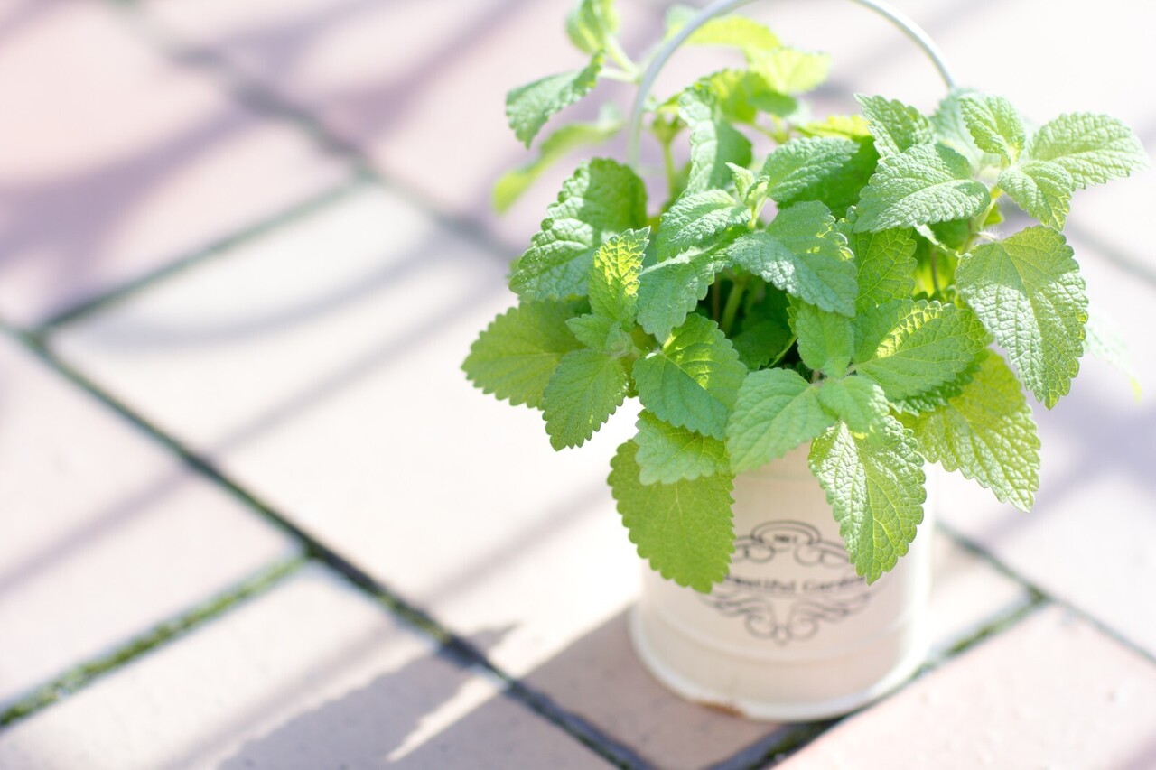 名古屋面談カウンセリング予約フォーム