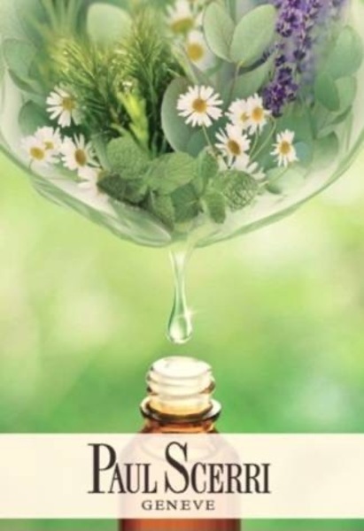 ポールシェリーコース