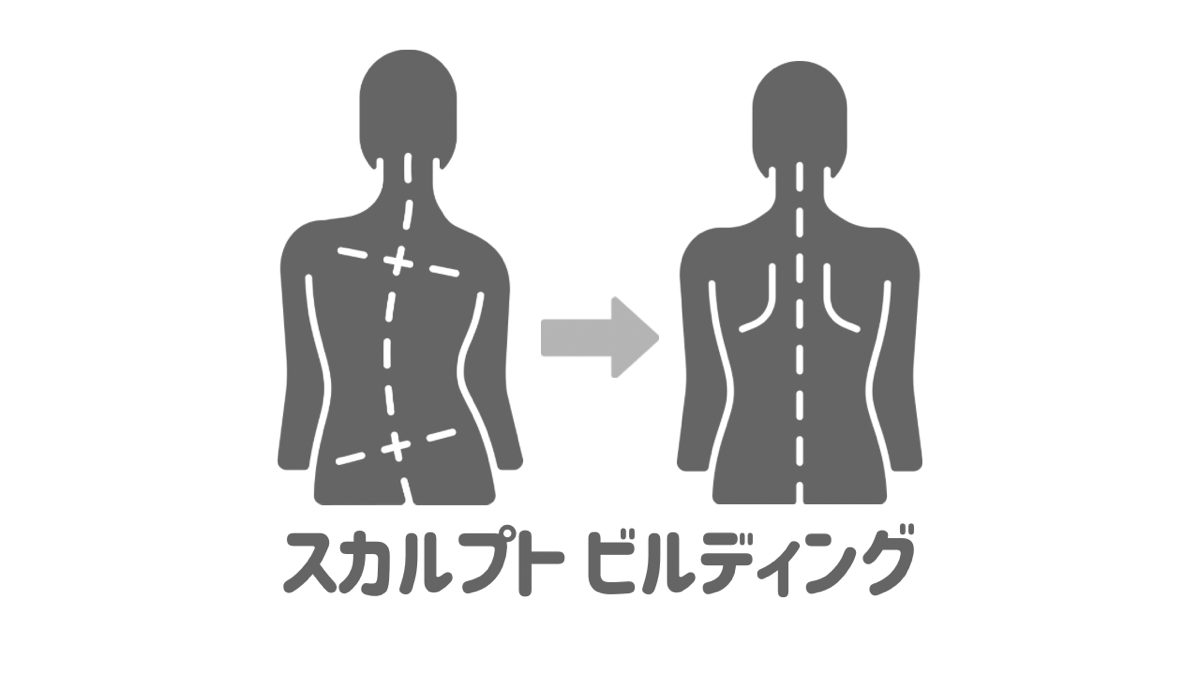 スカルプト ビルディング