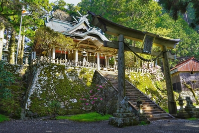 宇宙元旦！ 春分から始める べにねらと巡る 龍の氣 起こし奈良オフ会（2日間）！