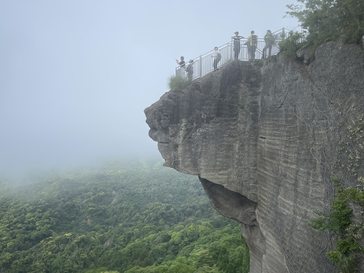 【3/4】おとな学部・南房総　春の鋸山探検隊