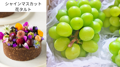 【花のシャインマスカットタルト＆テリーヌ】プレミアム発酵おつまみゼッポリーニ