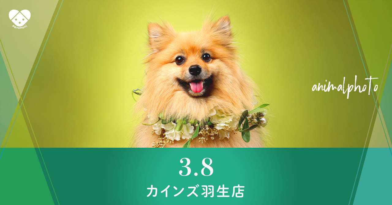 埼玉県【カインズ羽生店】2026年3月8日（日）