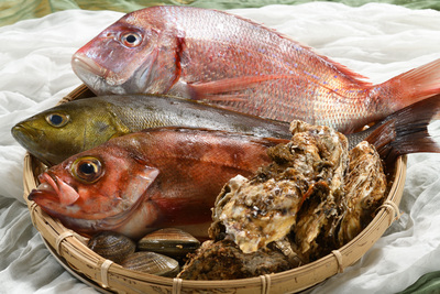 【クラウドファンディングリターン保持者様専用】RISE BEACH Okumatsushima 貸切ご予約