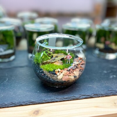 【 仙台アエル店】1月全4回　苔テラリウム教室　Terrariums sendai
