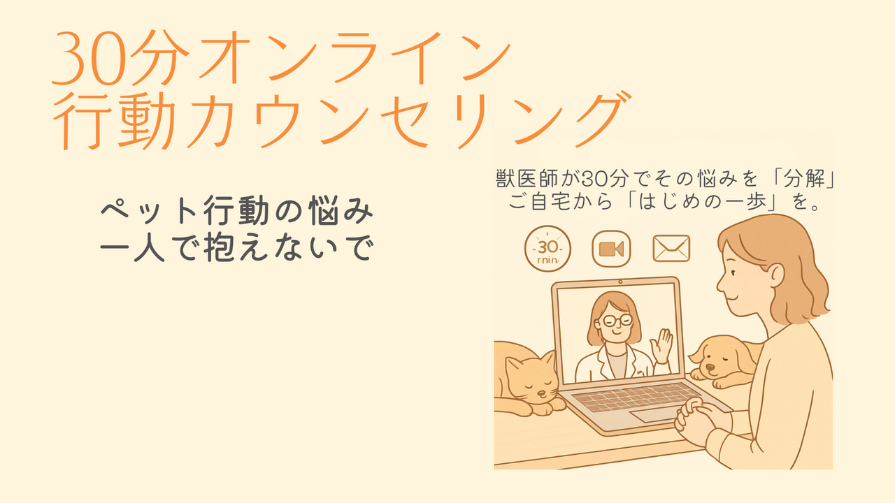 【獣医動物行動学専門獣医師】30分オンライン行動カウンセリング（はじめの一歩プラン）