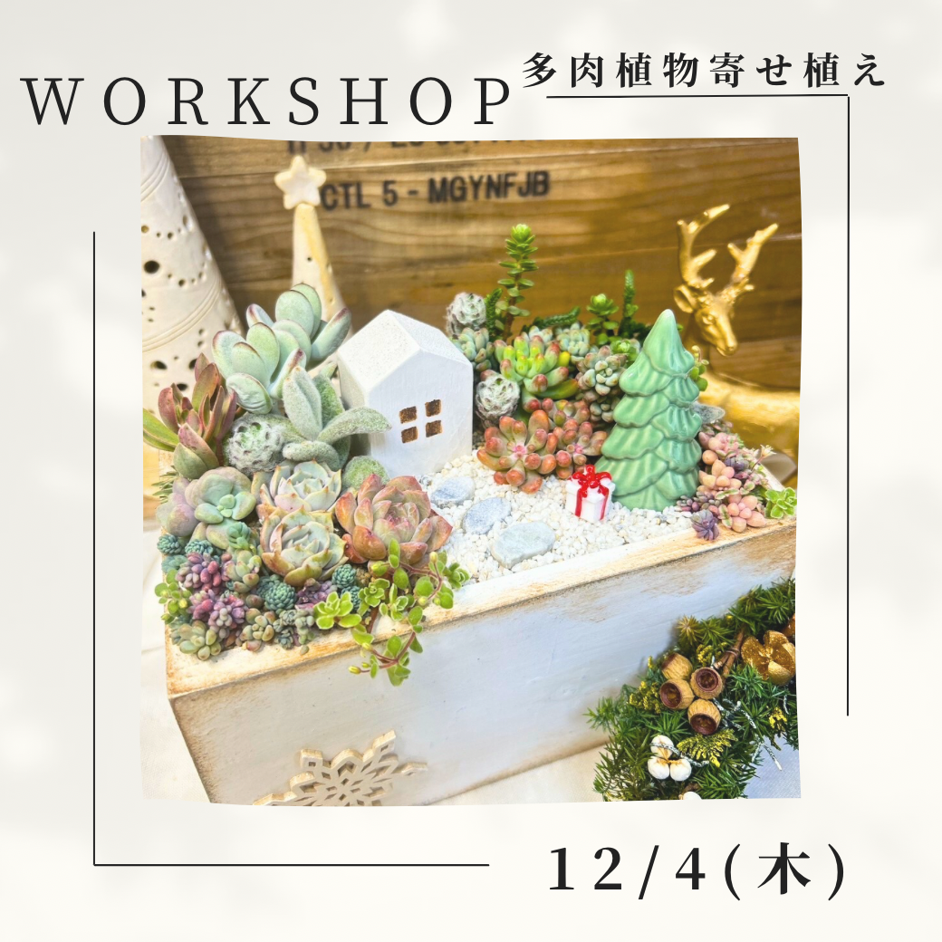 多肉植物の寄せ植えワークショップ 5,800円コース