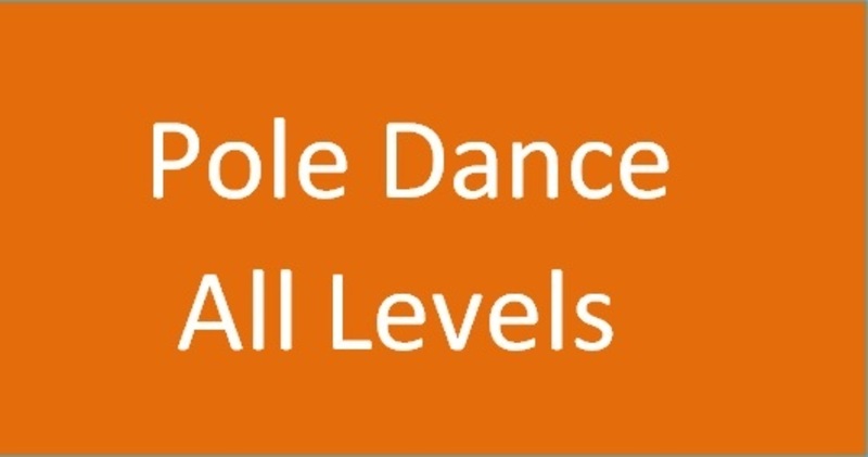🔰Pole Dance All Levels ポールダンスレベルオールレベル /  Teo