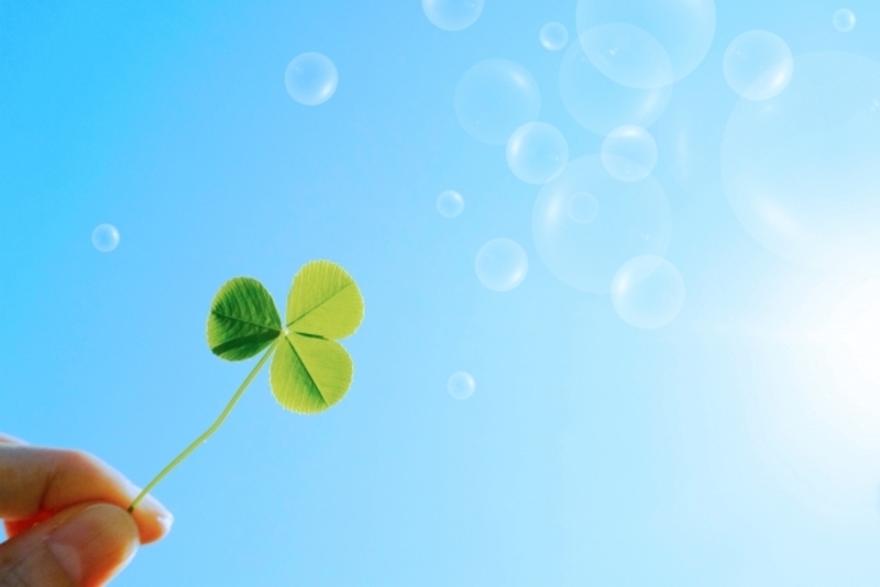 東京面談カウンセリング予約フォーム