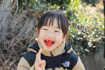 【農業体験】あまくておいしい！　福岡・志賀島「あまおう」のいちご栽培＆収穫体験