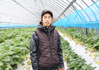 【農業体験】あまくておいしい！　福岡・志賀島「あまおう」のいちご栽培＆収穫体験