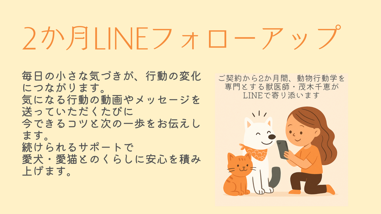 【新プラン】獣医師による2ヶ月間LINEフォローアッププラン