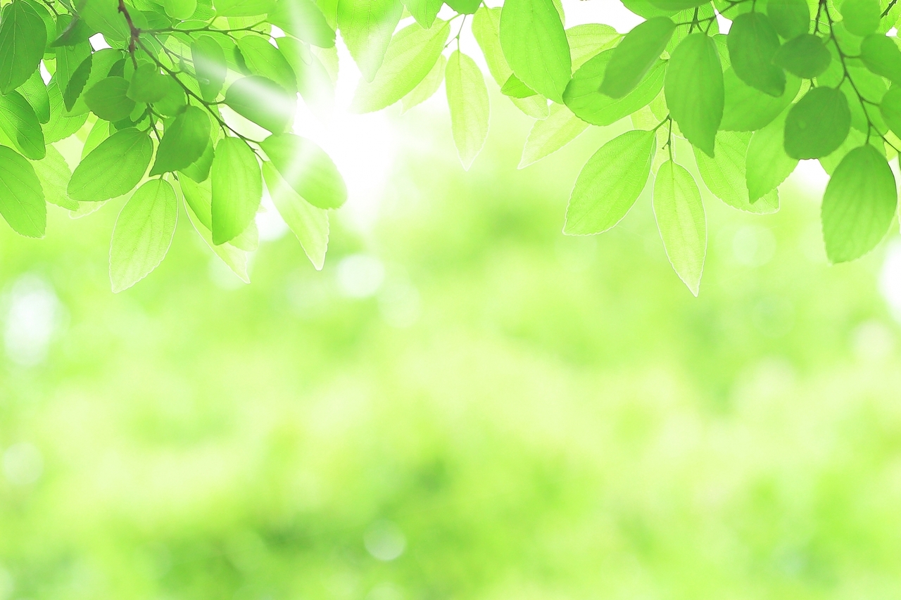 神癒の業【体験会】