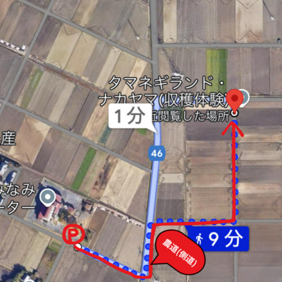 2024年OPEN【新玉ねぎの収穫体験(詰め放題)】