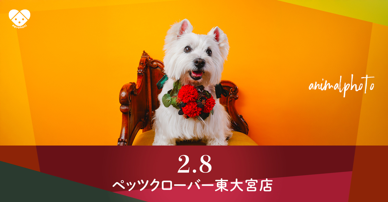 埼玉県【ペッツクローバー東大宮店】2026年2月8日（日）  