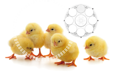 12/8　さえり塾　 FORCE