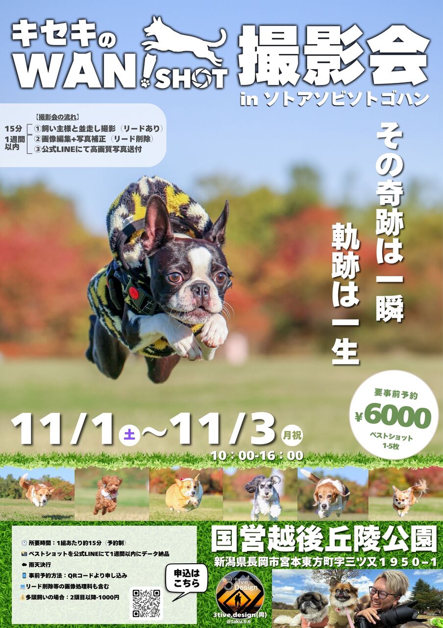 【長岡・犬イベント】キセキのWAN!SHOT撮影会inソトアソビソトゴハン