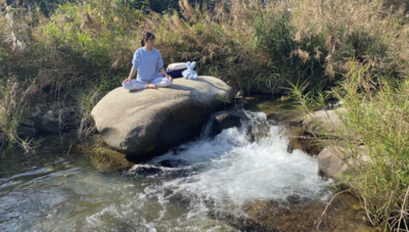 yoga  Lesson 【完全ご紹介・ご予約制】