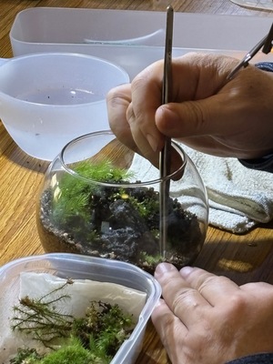 ２０２６年３月  苔テラリウム ワークショップ＆メンテナンス会　in長福寺