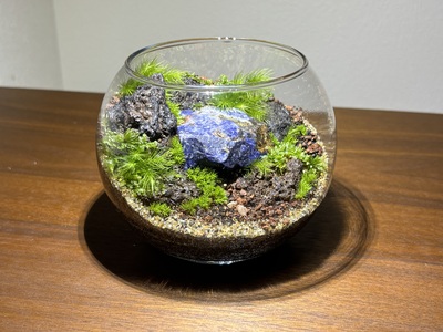 ２０２６年３月  苔テラリウム ワークショップ＆メンテナンス会　in長福寺