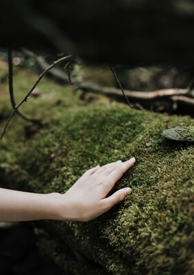 ２０２６年３月  苔テラリウム ワークショップ＆メンテナンス会　in長福寺