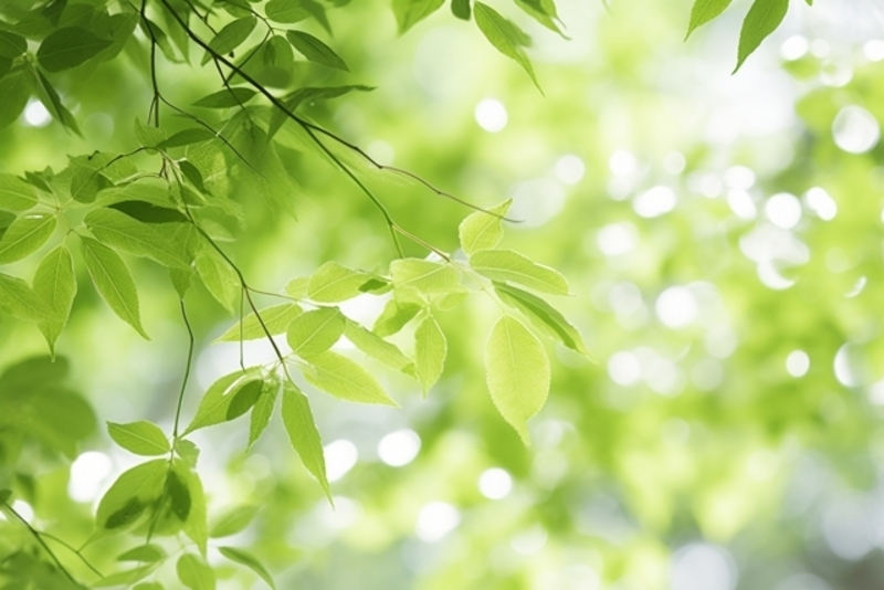 【ギャンブル障害】 初めてのご予約 60分 