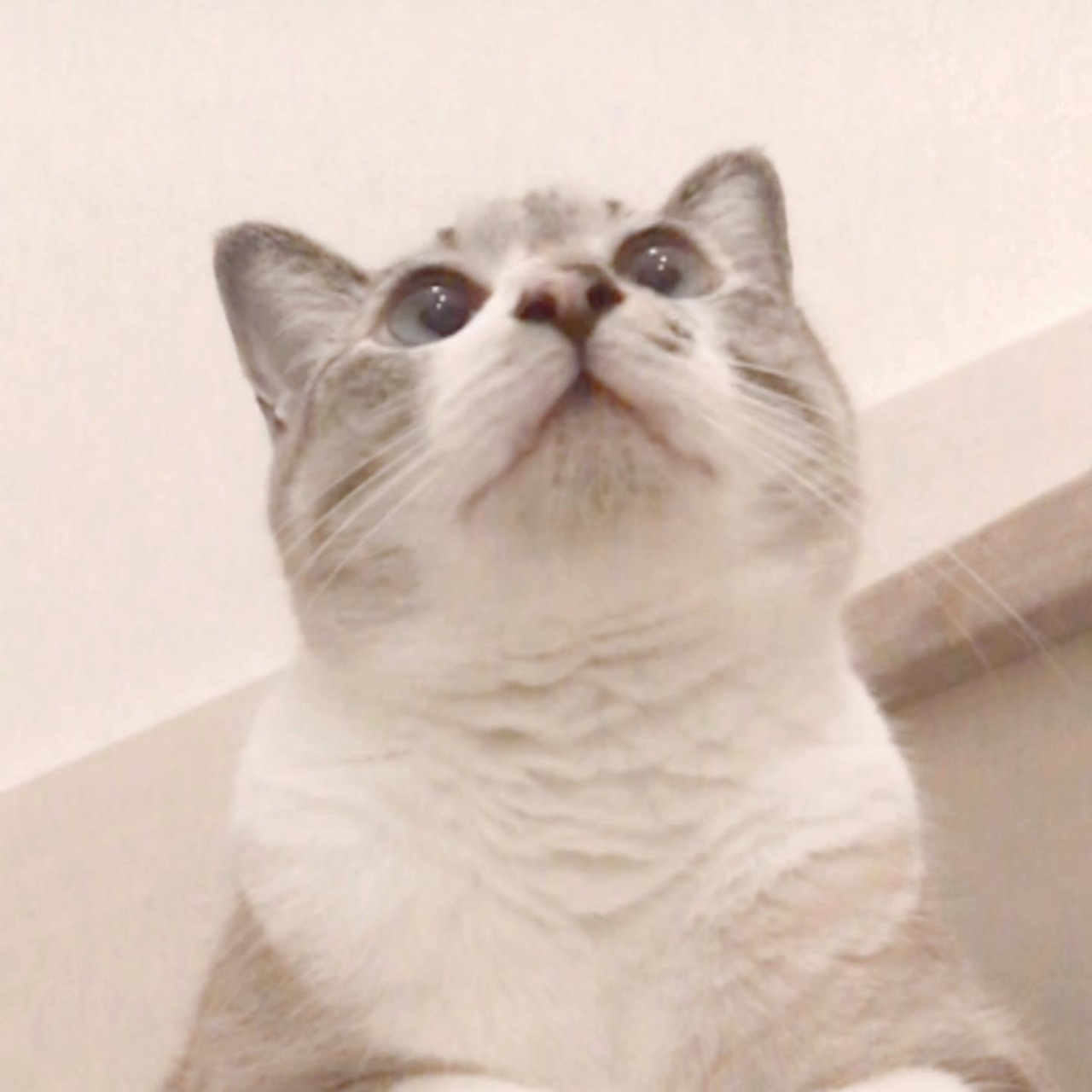 訪問ケア予約受付