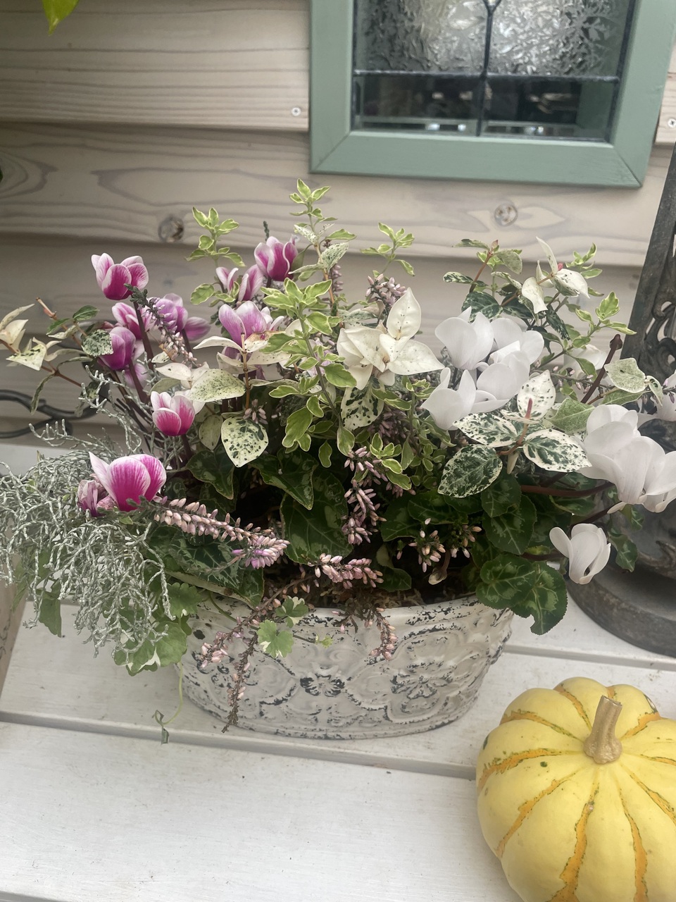 11月☆体験🔰レッスン/初心者さんも手ぶらでOK🙆♀️