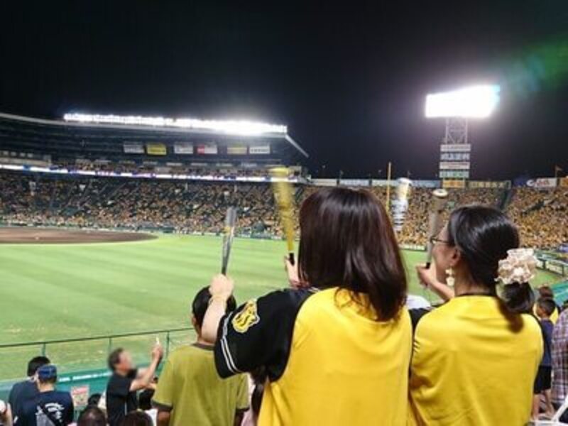 アイビーシート】 阪神甲子園球場 年間予約シート受付