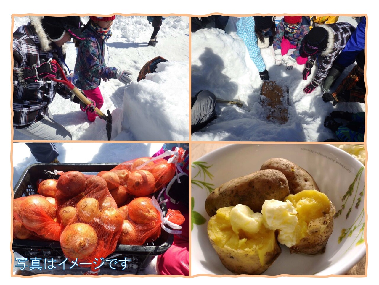 雪中野菜を掘り出して食べよう