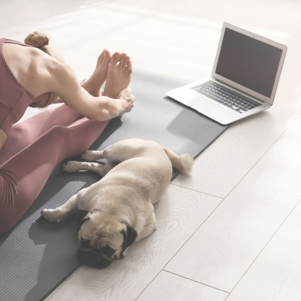 オンライン『おうちで健康習慣づくり』