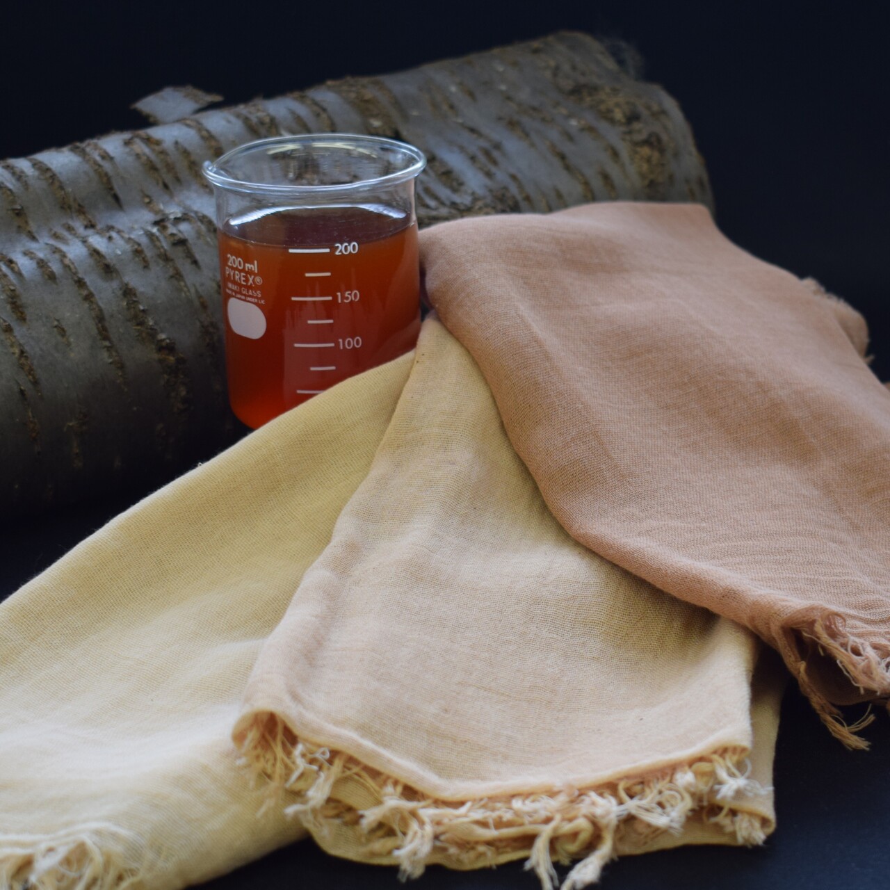 札幌の植物で染めてみよう〈桜〉｜4/12(日)【対象:小学5年生以上】